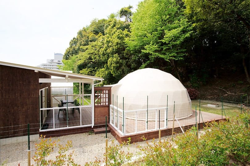 HAJIME forest-dome