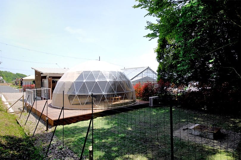 HAJIME forest-dome