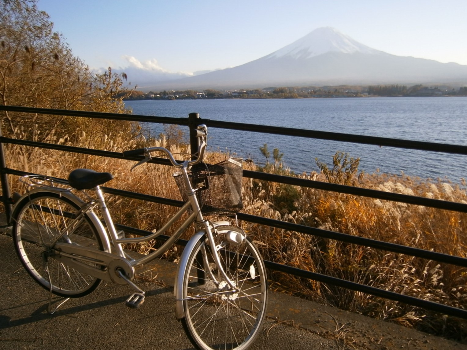 河口湖サイクリングロード