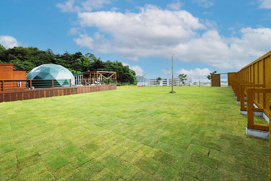 HAJIME terracedome