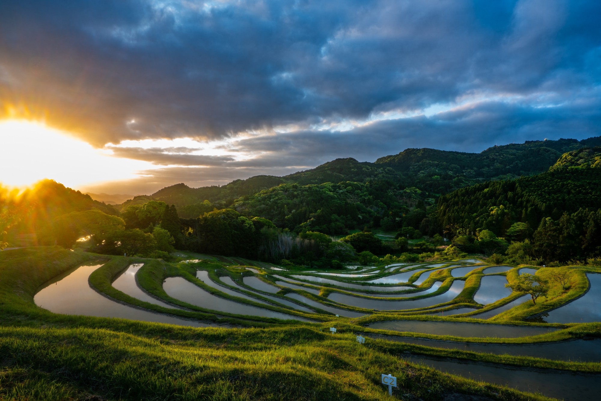 大山千枚田