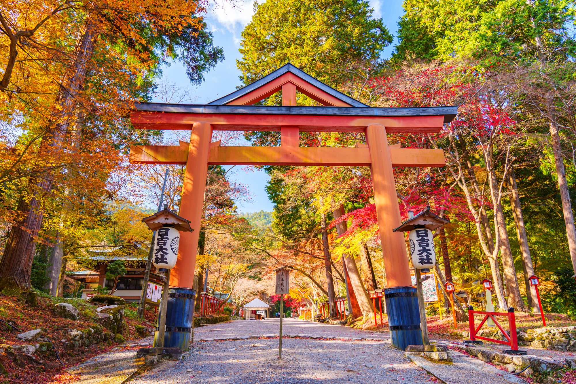 日吉大社の紅葉