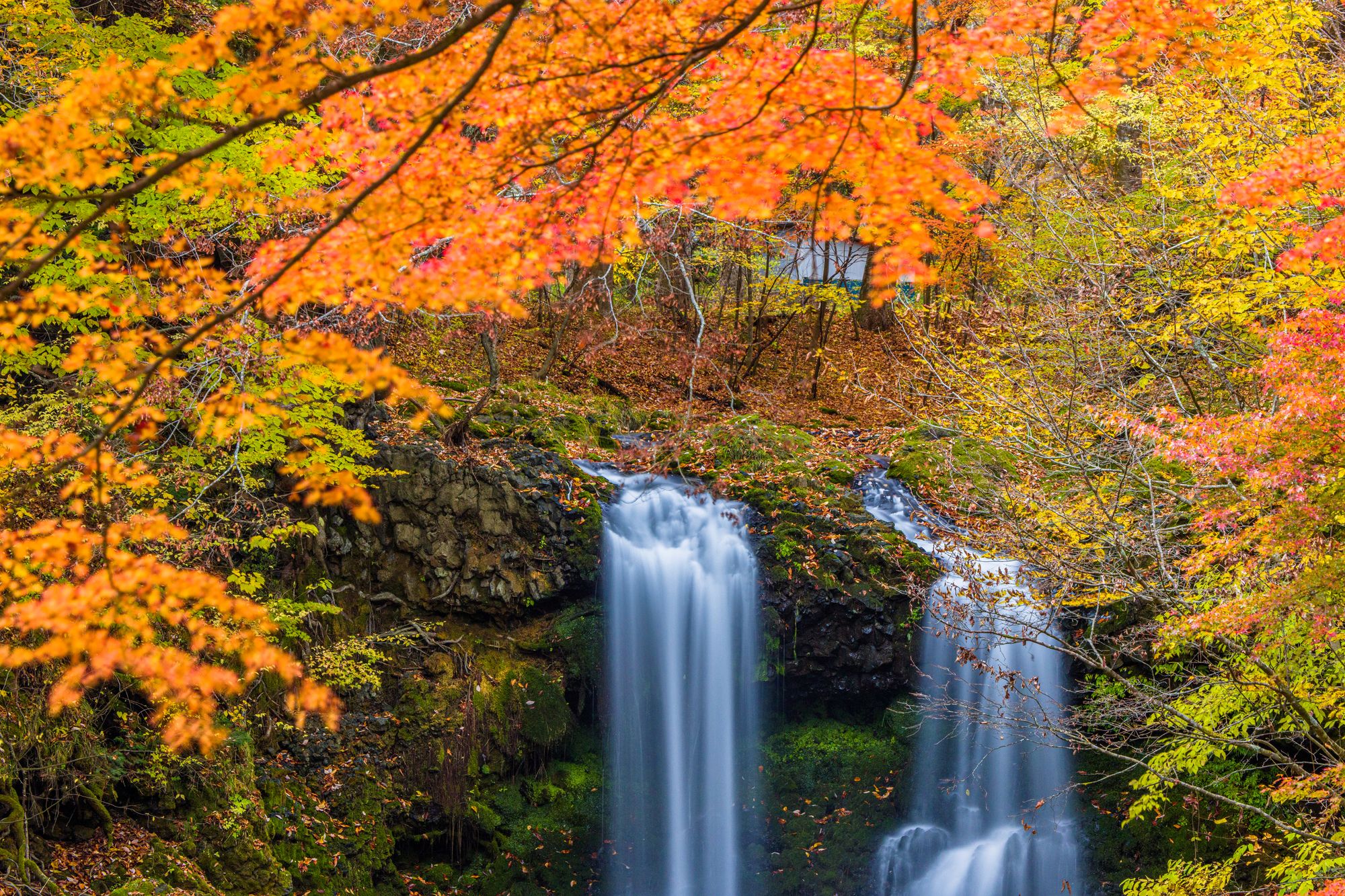 鐘山の滝と紅葉