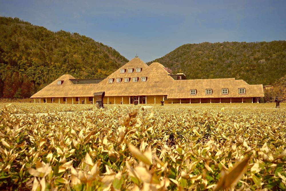 ラ コリーナ近江八幡の草屋根の建物