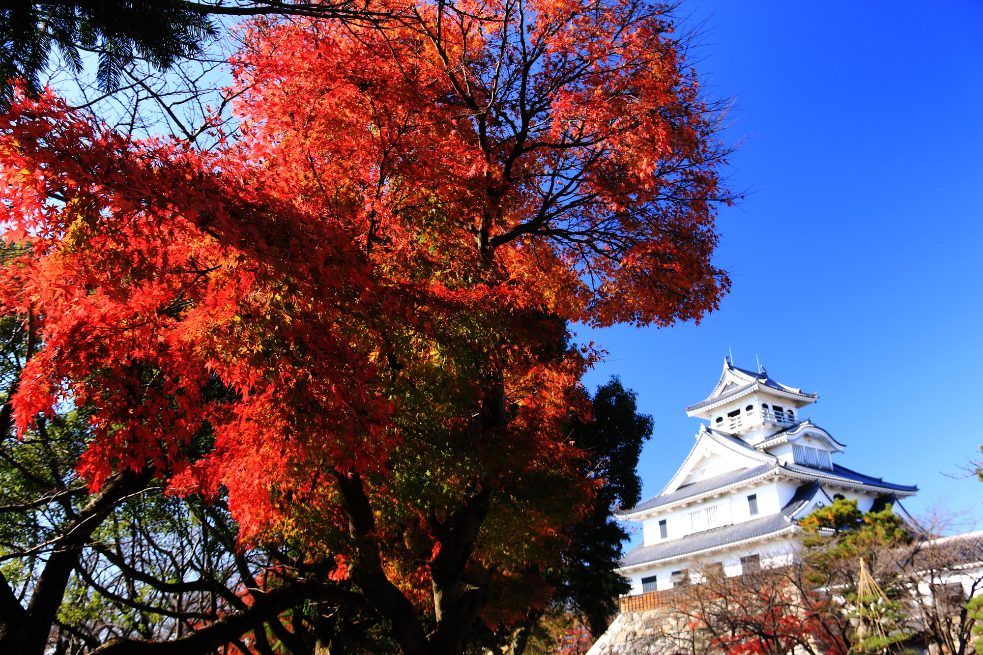 長浜城と豊公園