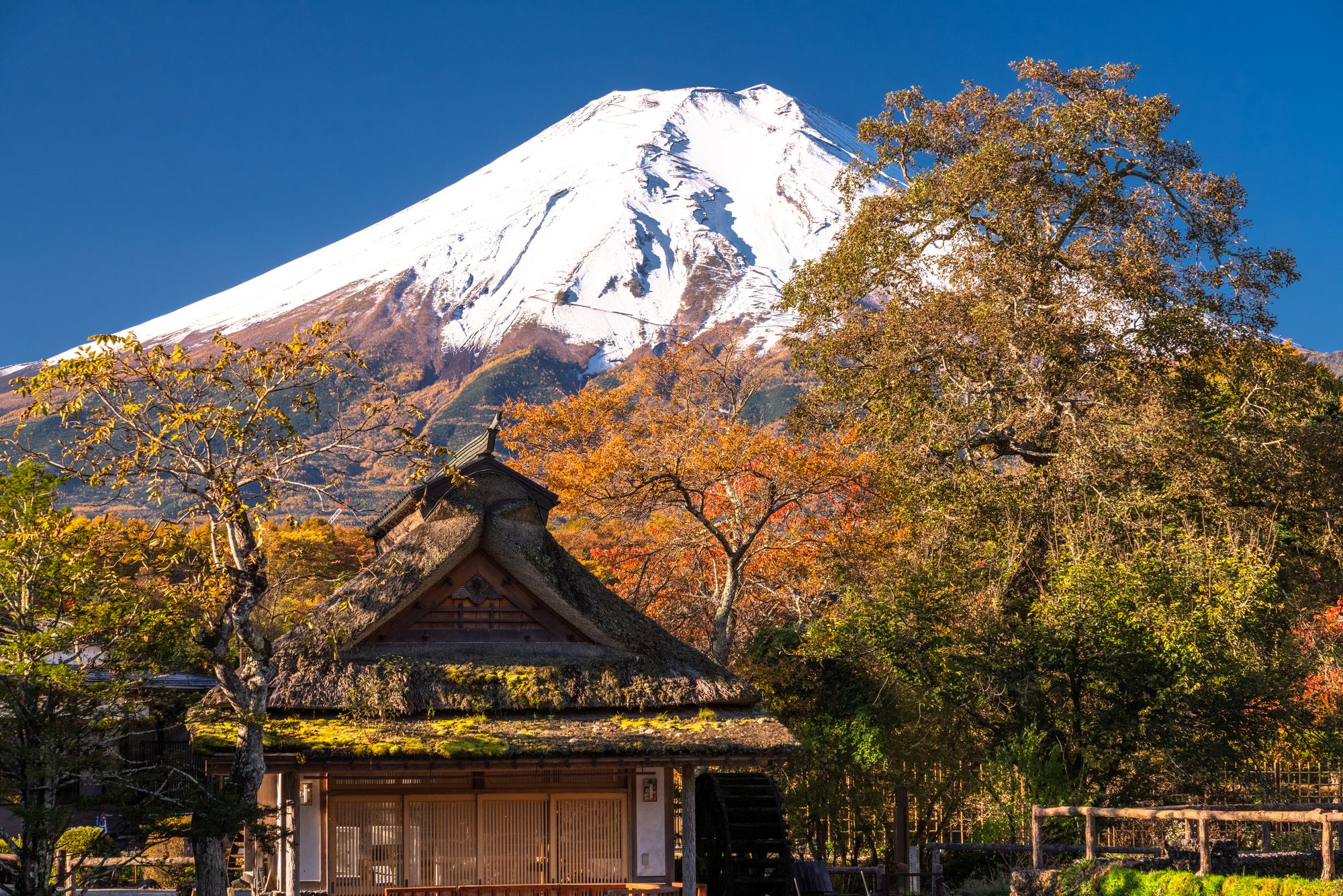 忍野八海の紅葉