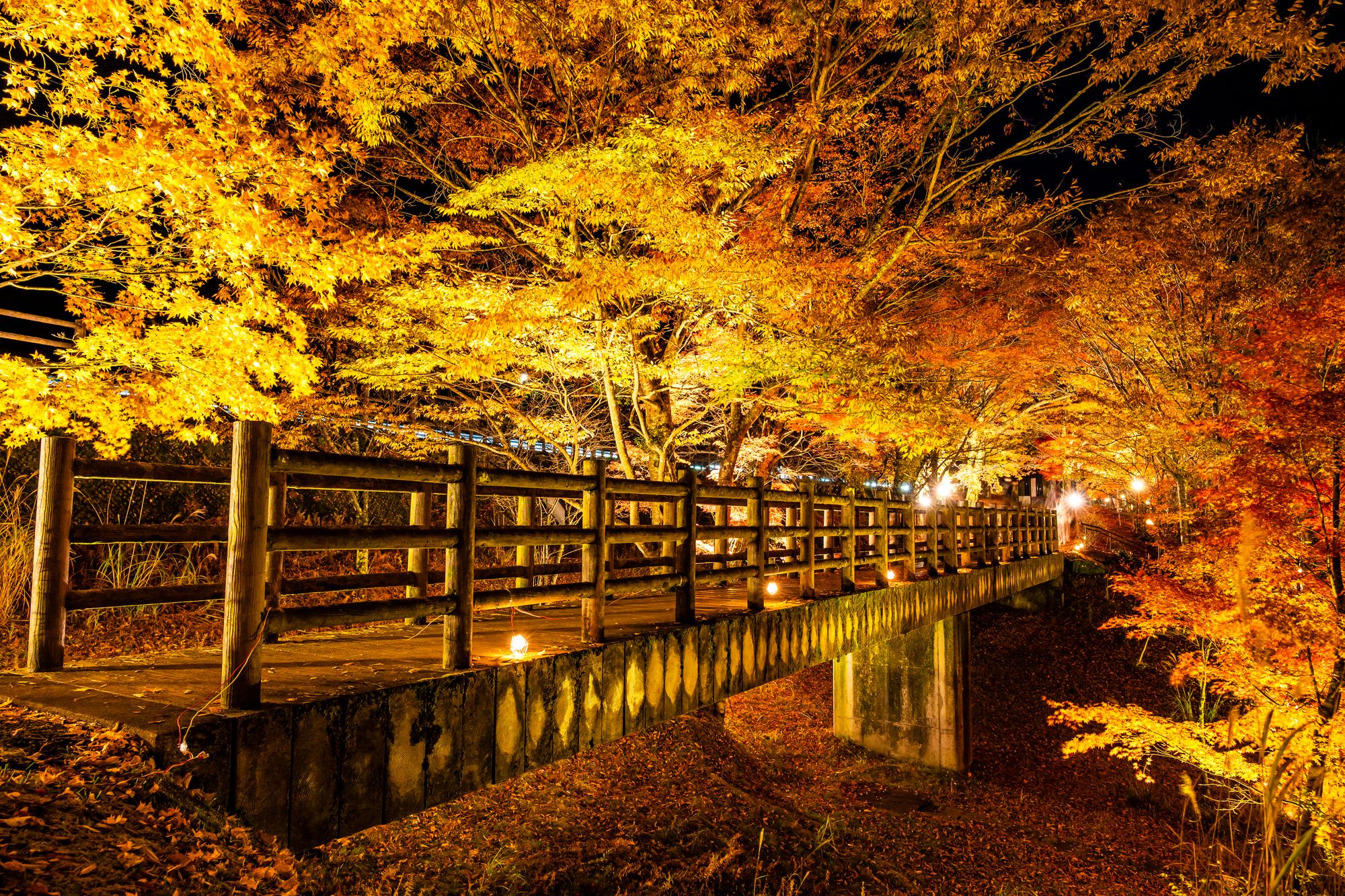 山中湖 夕焼けの渚の紅葉