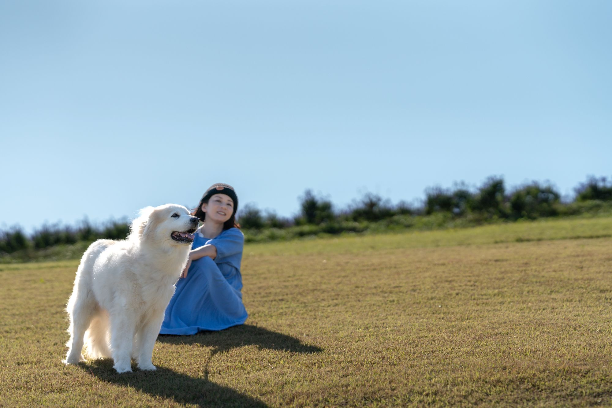 芝生で愛犬と過ごす