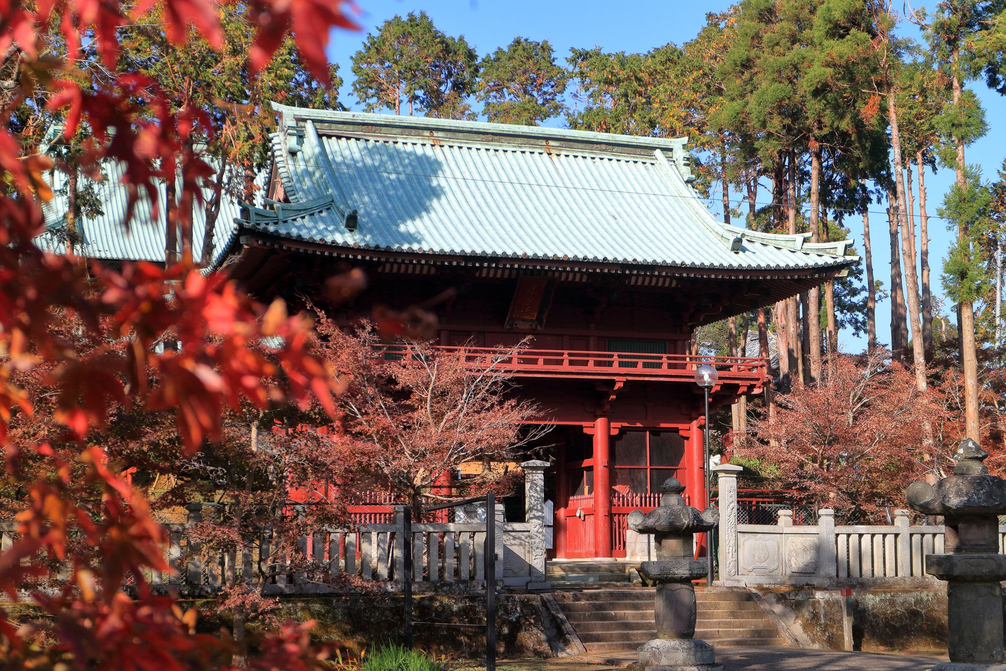 鹿野山 神野寺の山門と紅葉